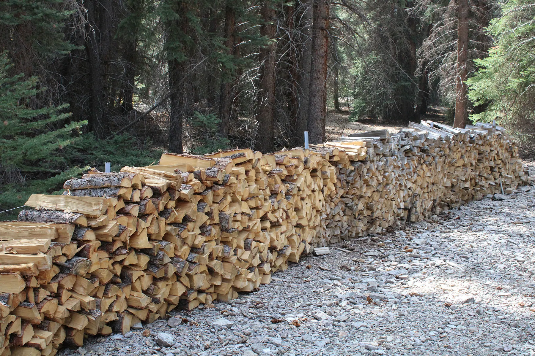 Bundle Firewood