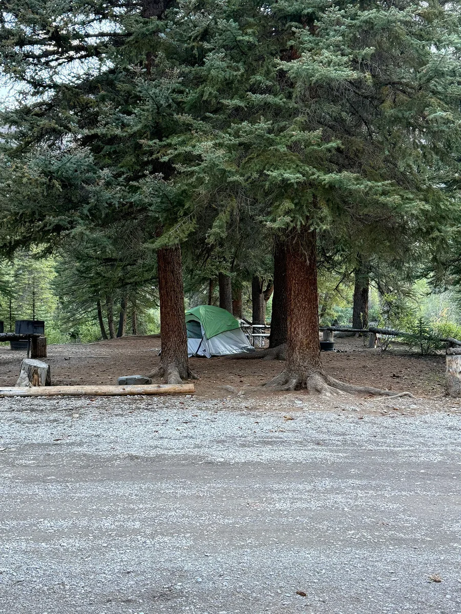 Tent site at Woodlake RV Park with picnic area and trees